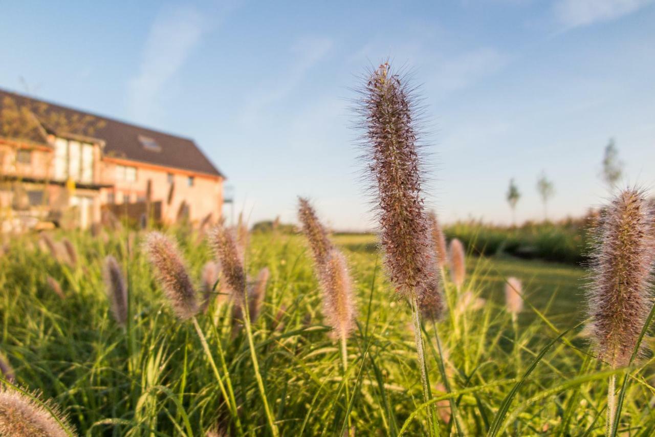 Eyndevelde Villa Herzele Exterior photo